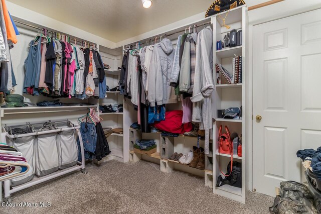 6531 Tannenbaum Cir, Bonners Ferry, ID 83805 - walk in closet featuring carpet flooring