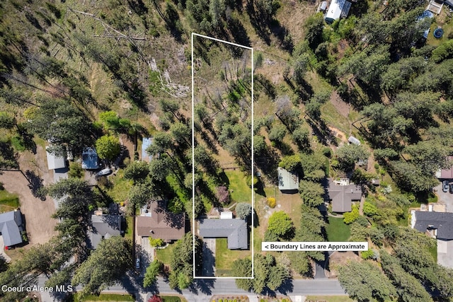 4206 W Appaloosa Rd, Coeur Dalene, ID 83815 - aerial view of residential area with property parcel outlined