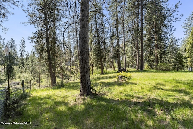 4206 W Appaloosa Rd, Coeur Dalene, ID 83815 - view of local wilderness