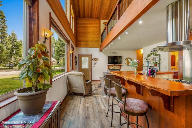 306 Scranton Ave, Coolin, ID 83821 - bar featuring light wood finished floors, a fireplace, island exhaust hood, cooktop, and a high ceiling