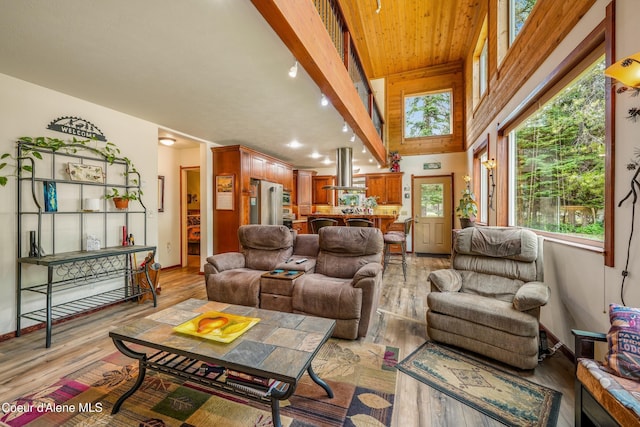 306 Scranton Ave, Coolin, ID 83821 - living area featuring light wood-type flooring and a towering ceiling