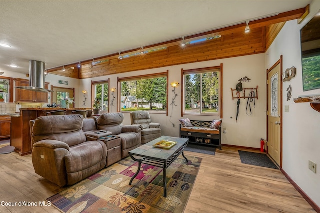 306 Scranton Ave, Coolin, ID 83821 - living room with track lighting, light wood-style flooring, and plenty of natural light