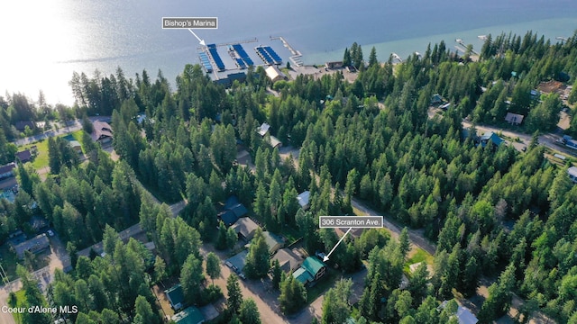 306 Scranton Ave, Coolin, ID 83821 - view of property location