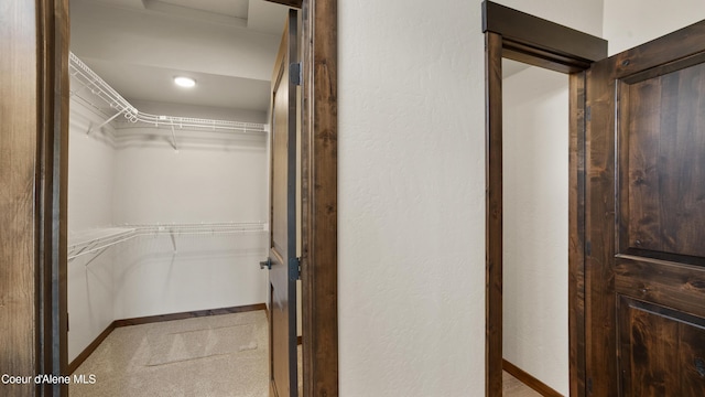 3306 Goodman Dr, Sandpoint, ID 83864 - spacious closet with carpet floors