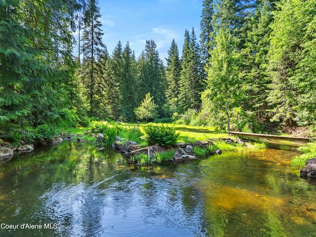 19565 N Goelzer Way, Rathdrum, ID 83858 - water view