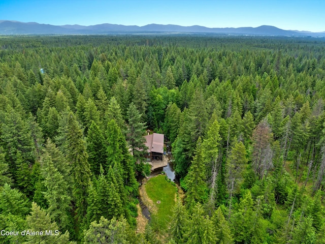 19565 N Goelzer Way, Rathdrum, ID 83858 - aerial view of a forest and a mountain backdrop
