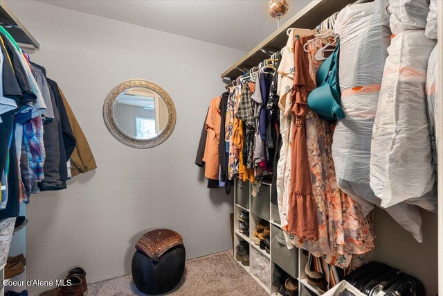 1318 N 10th St, Coeur Dalene, ID 83814 - walk in closet with carpet