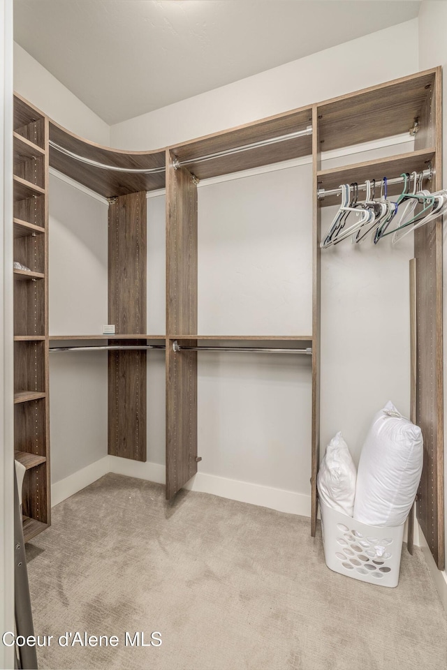 2999 N Casa Ct, Coeur Dalene, ID 83814 - spacious closet with carpet flooring
