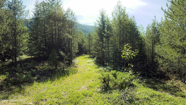 NNA Log Cabin Rd, Bonners Ferry, ID 83805