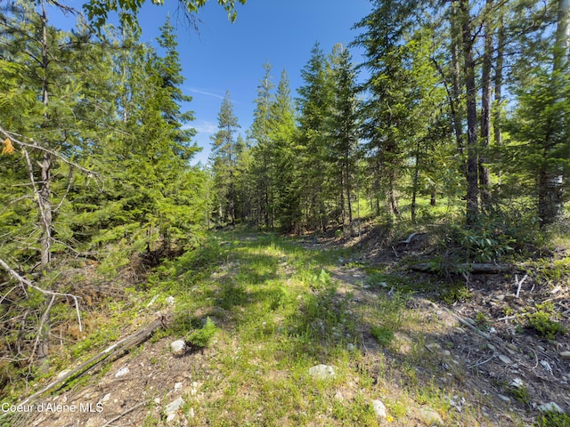 NNA Log Cabin Rd, Bonners Ferry, ID 83805