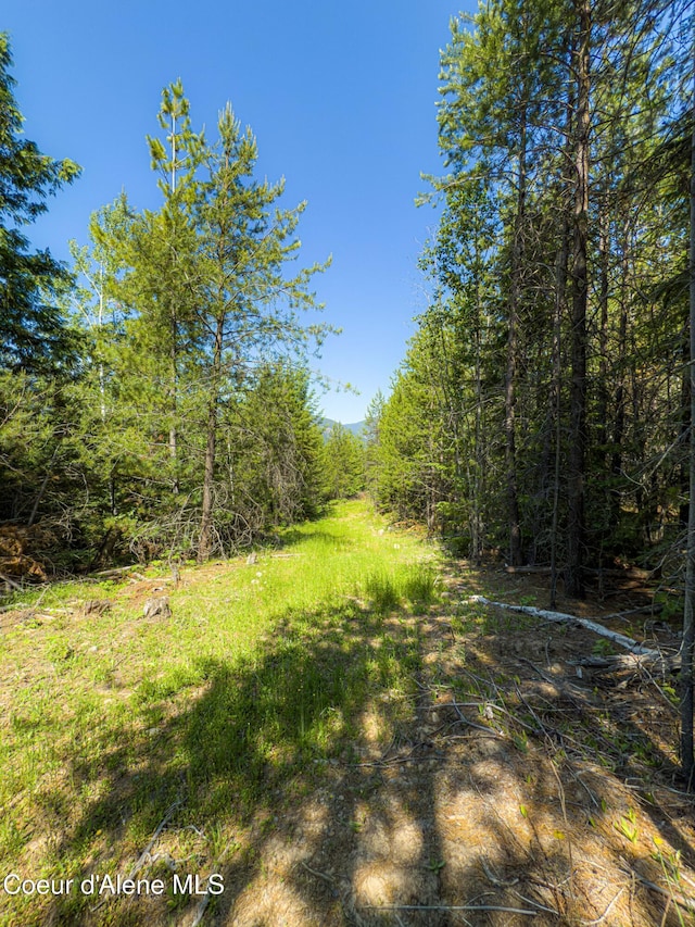 NNA Log Cabin Rd, Bonners Ferry, ID 83805