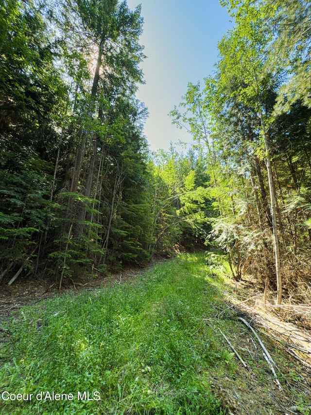 NNA Log Cabin Rd, Bonners Ferry, ID 83805