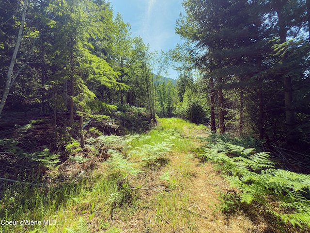 NNA Log Cabin Rd, Bonners Ferry, ID 83805