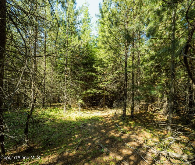 NNA Log Cabin Rd, Bonners Ferry, ID 83805
