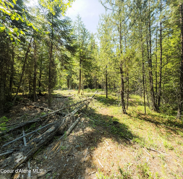 NNA Log Cabin Rd, Bonners Ferry, ID 83805
