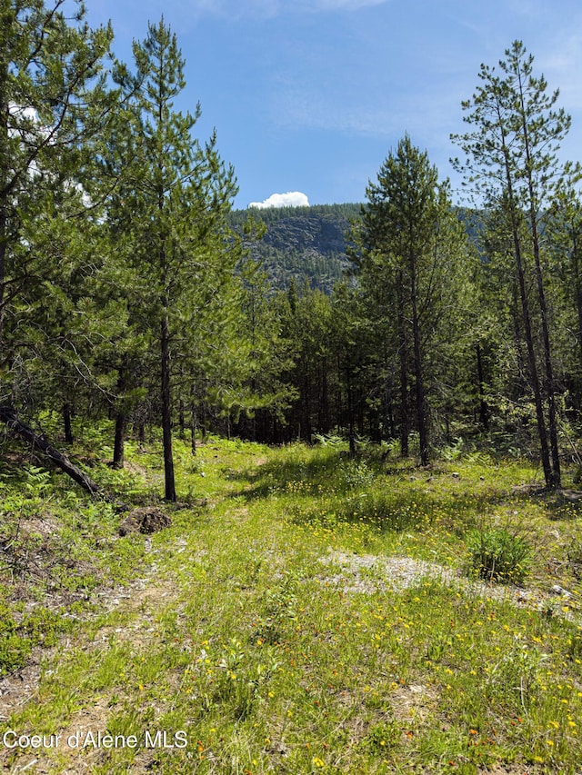 NNA Log Cabin Rd, Bonners Ferry, ID 83805
