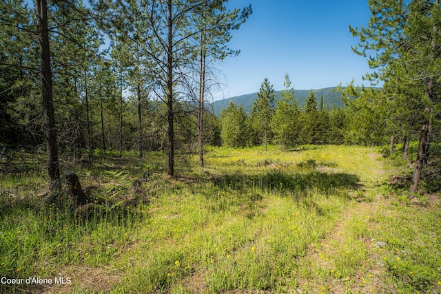 NNA Log Cabin Rd, Bonners Ferry, ID 83805