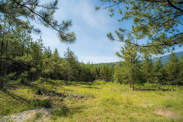 NNA Log Cabin Rd, Bonners Ferry, ID 83805