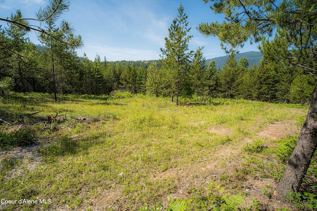 NNA Log Cabin Rd, Bonners Ferry, ID 83805
