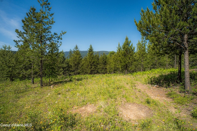 NNA Log Cabin Rd, Bonners Ferry, ID 83805