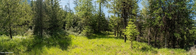 NNA Log Cabin Rd, Bonners Ferry, ID 83805
