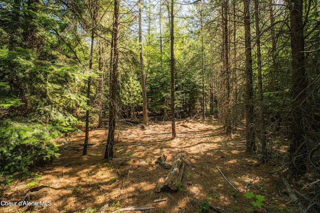 NNA Log Cabin Rd, Bonners Ferry, ID 83805