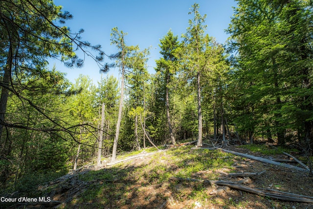 NNA Log Cabin Rd, Bonners Ferry, ID 83805