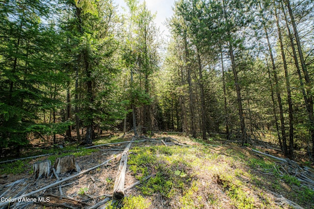 NNA Log Cabin Rd, Bonners Ferry, ID 83805