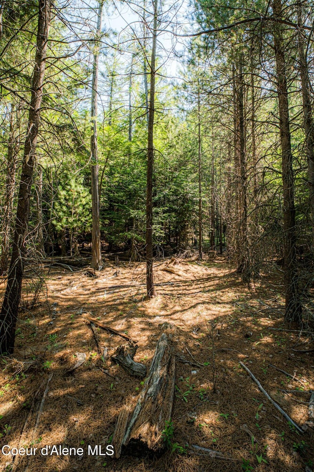 NNA Log Cabin Rd, Bonners Ferry, ID 83805