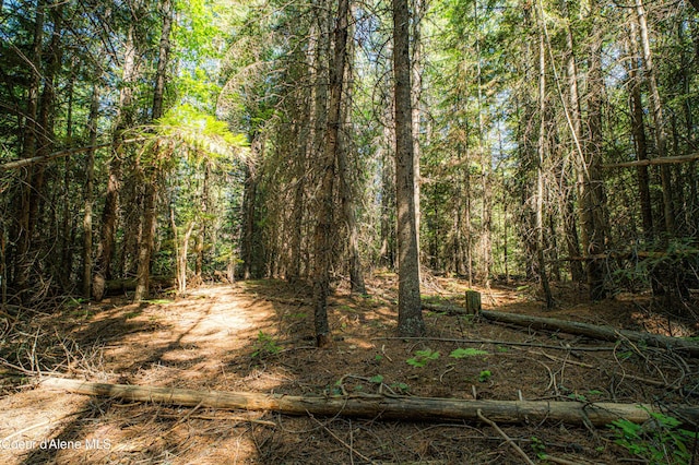 NNA Log Cabin Rd, Bonners Ferry, ID 83805
