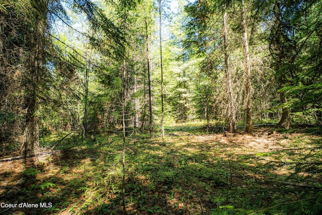 NNA Log Cabin Rd, Bonners Ferry, ID 83805
