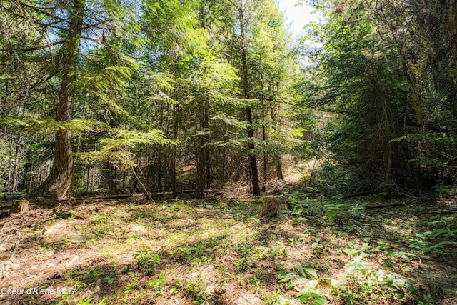 NNA Log Cabin Rd, Bonners Ferry, ID 83805