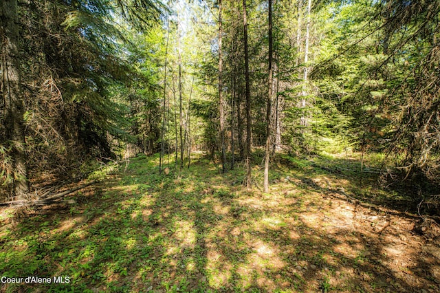 NNA Log Cabin Rd, Bonners Ferry, ID 83805