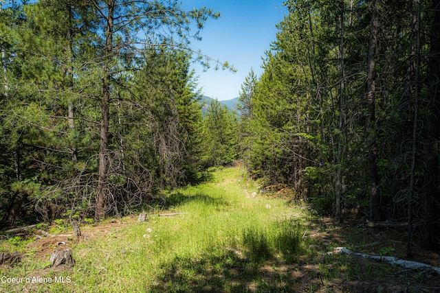NNA Log Cabin Rd, Bonners Ferry, ID 83805