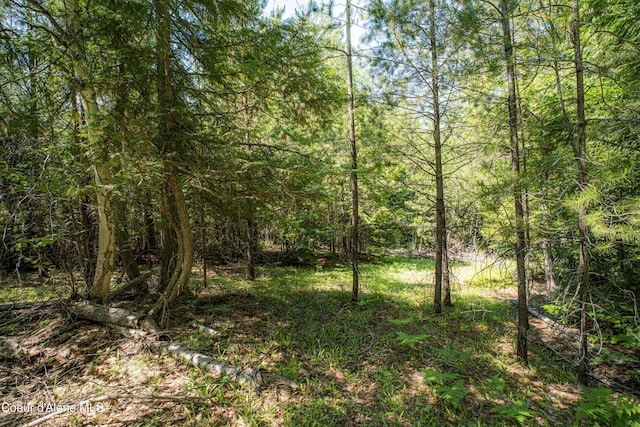 NNA Log Cabin Rd, Bonners Ferry, ID 83805
