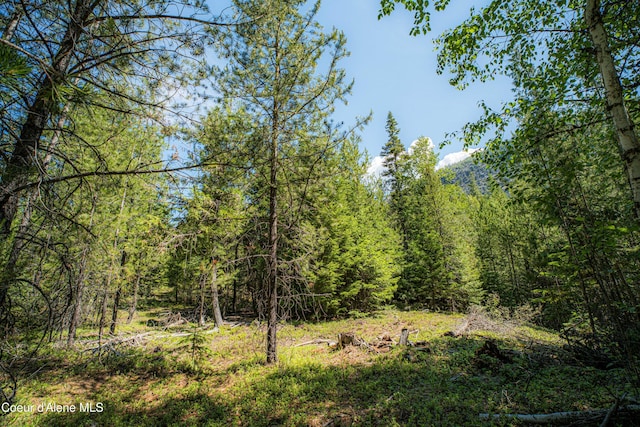 NNA Log Cabin Rd, Bonners Ferry, ID 83805