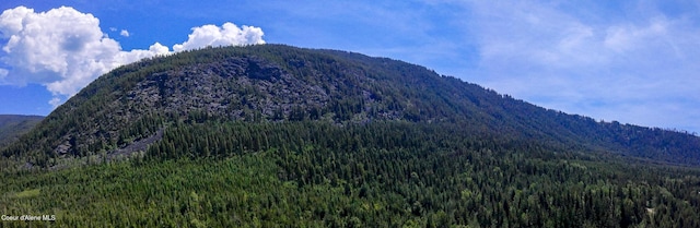 NNA Log Cabin Rd, Bonners Ferry, ID 83805