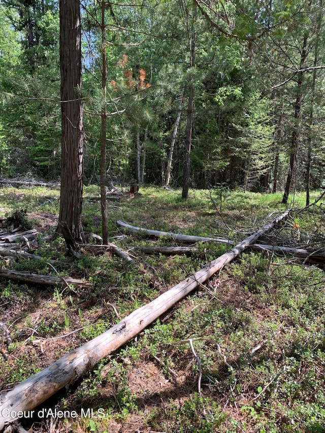NNA Log Cabin Rd, Bonners Ferry, ID 83805