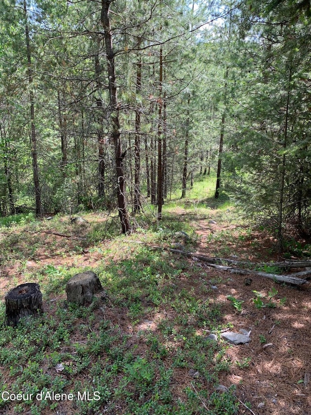 NNA Log Cabin Rd, Bonners Ferry, ID 83805