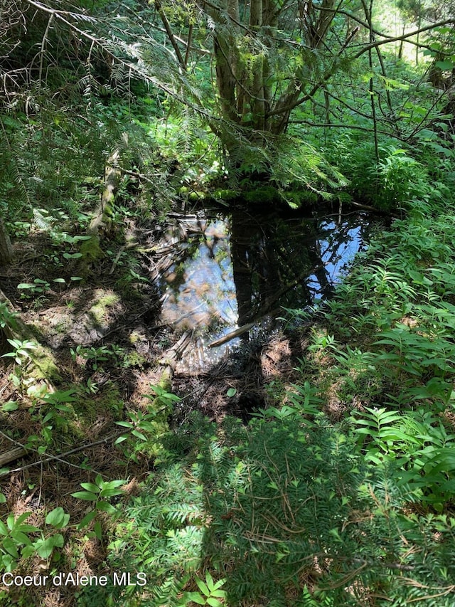 NNA Log Cabin Rd, Bonners Ferry, ID 83805