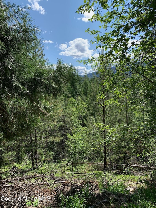 NNA Log Cabin Rd, Bonners Ferry, ID 83805