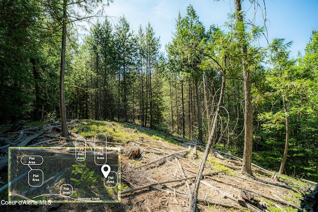 NNA Log Cabin Rd, Bonners Ferry, ID 83805