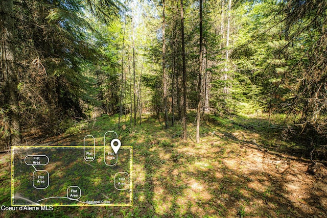 NNA Log Cabin Rd, Bonners Ferry, ID 83805