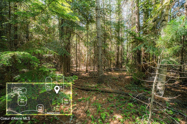 NNA Log Cabin Rd, Bonners Ferry, ID 83805