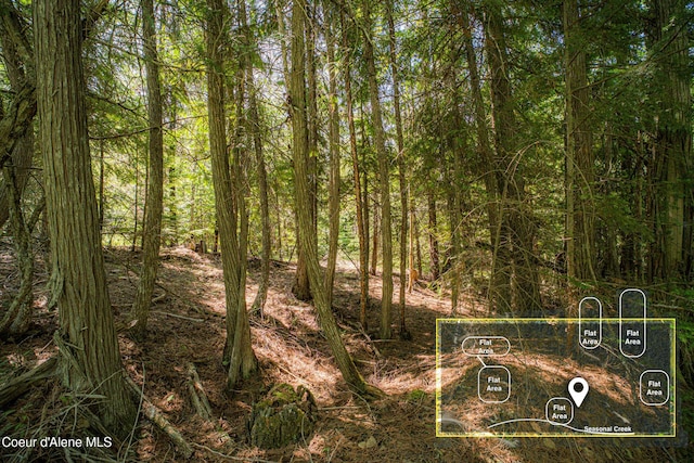NNA Log Cabin Rd, Bonners Ferry, ID 83805