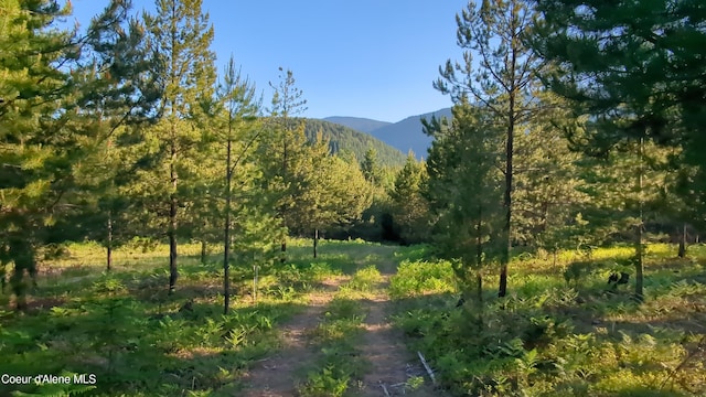 NNA Log Cabin Rd, Bonners Ferry, ID 83805