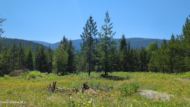 NNA Log Cabin Rd, Bonners Ferry, ID 83805