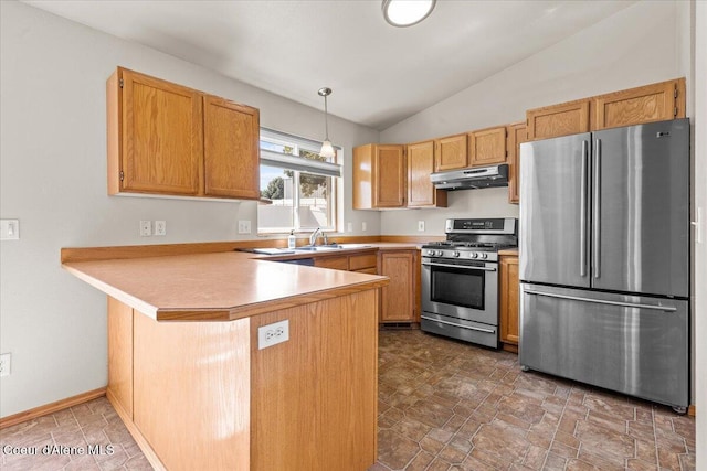 1601 N Summer Rose St, Post Falls, ID 83854 - kitchen with stainless steel appliances, under cabinet range hood, a peninsula, lofted ceiling, and light countertops