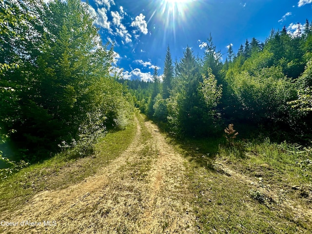 876 Alpine Dr, Fernwood, ID 83830