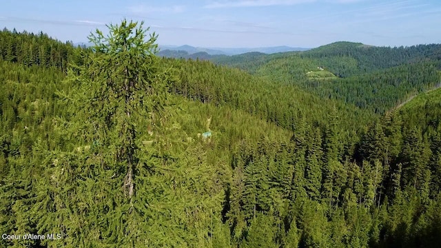 876 Alpine Dr, Fernwood, ID 83830